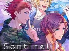 달 밤 아래 라이브