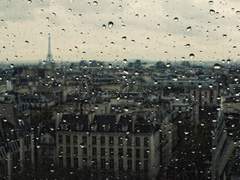 New York In The Rain