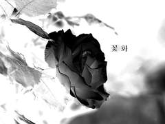 [토도바쿠] 꽃 화