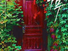 1차 창작 표지 4