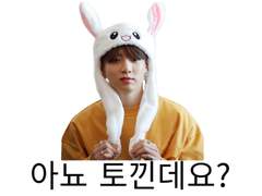 아뇨 토낀데요?