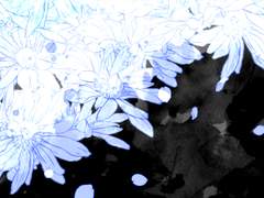 [하마카미] 첫 번째 결론2