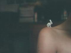 [지훈아리] 장마