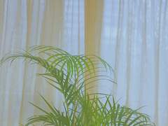 제 2장: 무언에 대하여