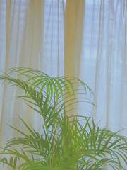 무언無言에 대하여