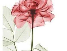 어느 혼마루-, 어느 시간-.