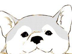 내 머리카락은 개의 눈물로 이루어져 있다고 하더라