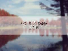 [현제유진]호텔(3)