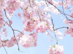 너와 나의 계절 : 봄 02