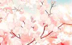 [카게히나] 나 홀로 삼각관계