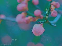 2019.02.16(토) 금릉의겨울 참가 안내