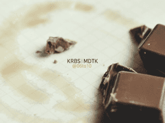 녹고 / 14일의 목요일