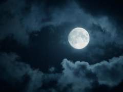 [릭셩] Moonlight Night.