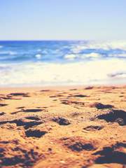 나의 여름, 가장 푸르던 너에게