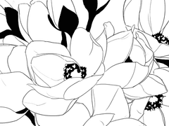 김독자 생일 만화.