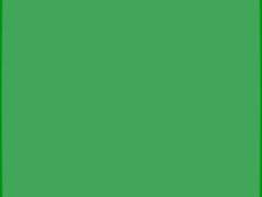 물 위로 발자국이 남지 않듯.