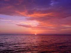 [토민호/민톰] 물거품上