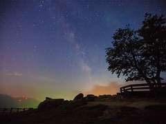 말을 할 수 없었기에