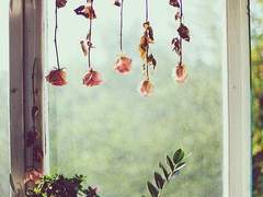 [백도] 너의 이혼 #1