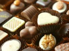 [오르캐스] 초콜릿 시식