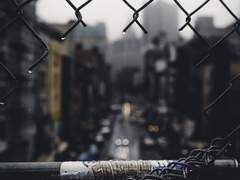 썰]3회차 파란과 이기영만 1회차의 기억으로 회귀한썰