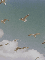 꼭 꼭 숨어라 머리카락 보일라