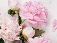 백망되 연성 아닌 척해도 자기 가족들을 다 챙기는 케일에게 그들이 사라지는 상황이 온다면 어떨까. (알