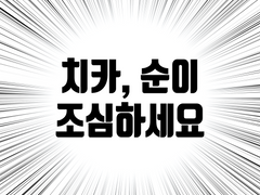 치카, 순이 사건 총 정리 및 공론화