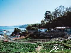 화평최윤 - 스며들다 8 (完)