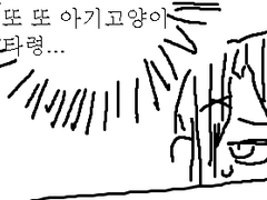 세타 카오루와 아기고양이들