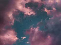 디오죠나 [사랑] 2