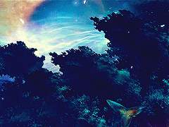 [아츠키타] 유토피아 1