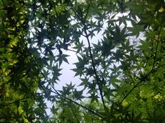 화평최윤 - 스며들다 6