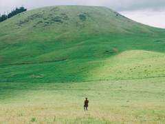 선악의 심판자에 관해서