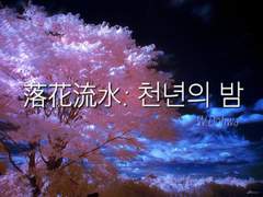 落花流水:천년의 밤 연재