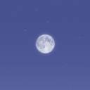 내가 사랑한 것들에게