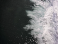 [션견/한결상동] 해사