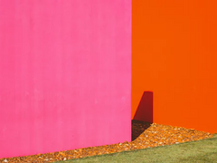 [댕햄] 턴 어라운드 나우 샷 마이 하트