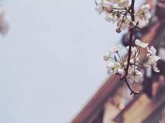 [채햄] 2월의 어느 날