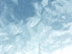 [댕햄] 5초의 여름