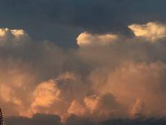 너를 참고 있는 마음이 맑고 낮아서 소중해