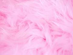 [댕햄] 친구랑 키스 정도는 할 수 있잖아요