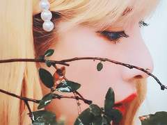 살구나무 아래서