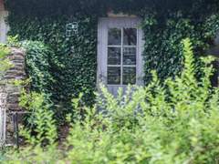 십리도 못가서 발병난다 下