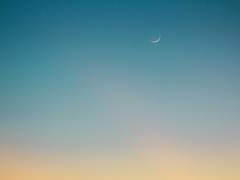 [백도] 휘야섬 2