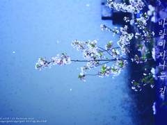 [랩홉] 바람이 지나는 길 (2회 랩홉 배포전 회지.유료발행)