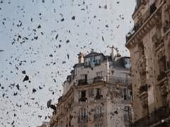 [셜존] 조작된 시작 (Doctored Inception) 上