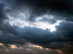 [방탄팬픽/국민/뷔민] 풀꽃수목원 08