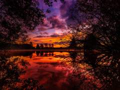 [중혁독자] 이종족 출몰 - (上)