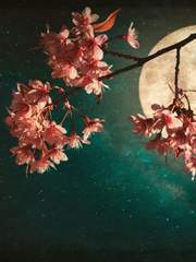 천생연분 (天生緣分)